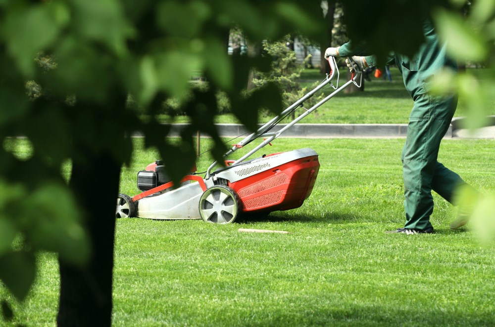 Lawn Care Names 755 Mowing, Funny Landscape Company Names