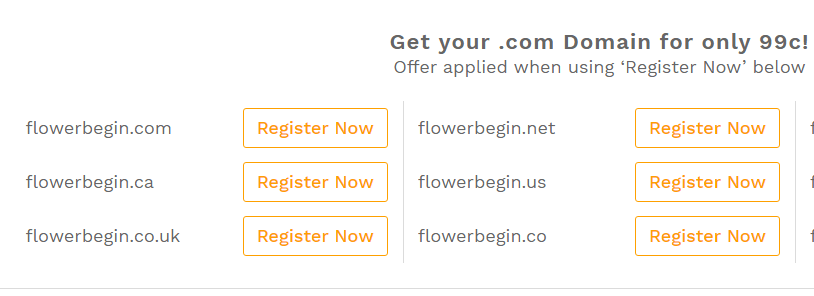 name ideas for flower shop along with domain name