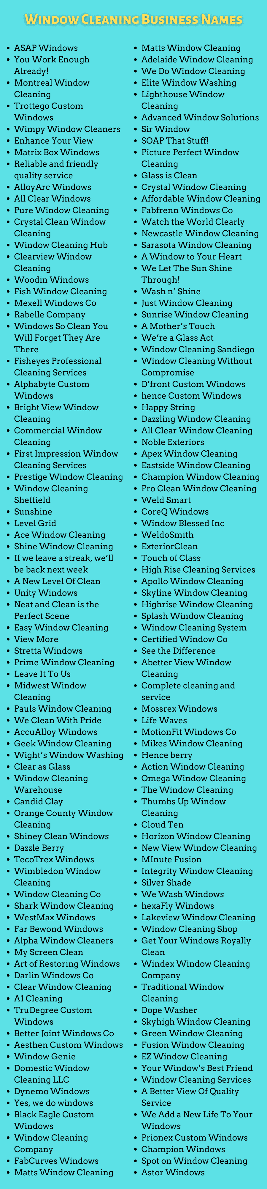 Window Cleaning Business Names