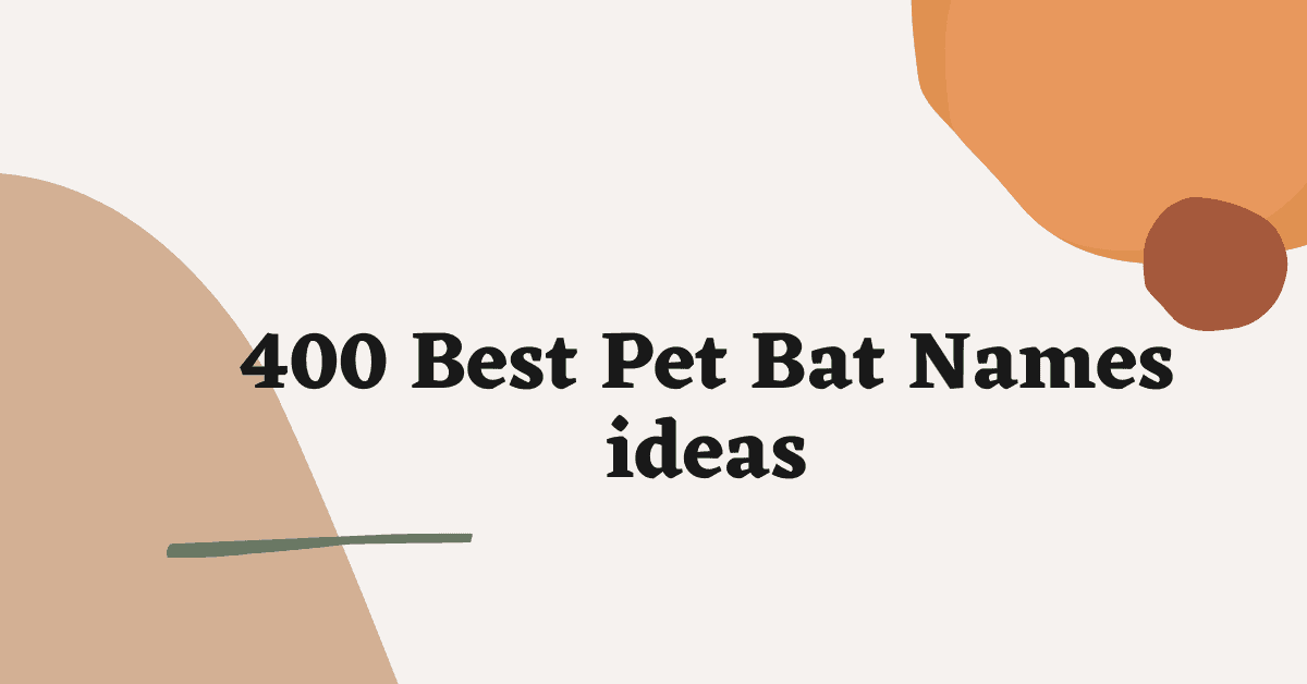 Pet Bat Names