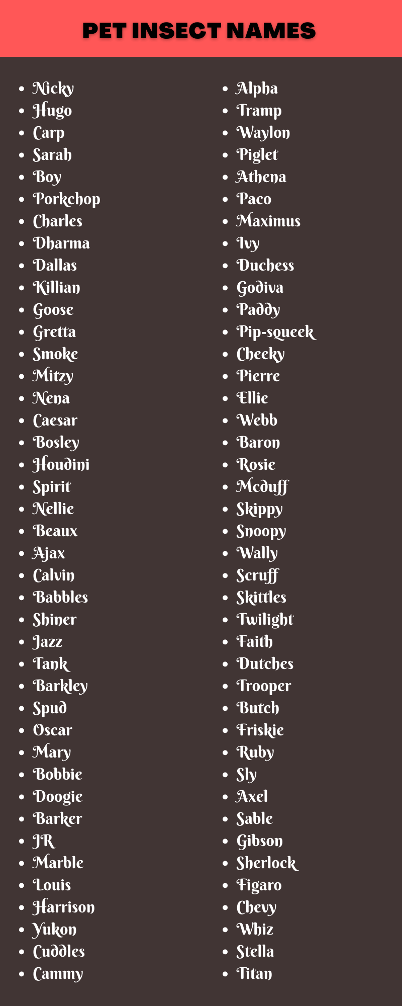 Pet Insect Names