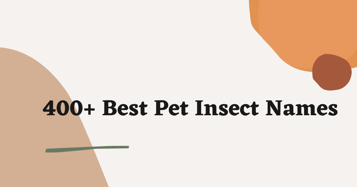 Pet Insect Names Ideas
