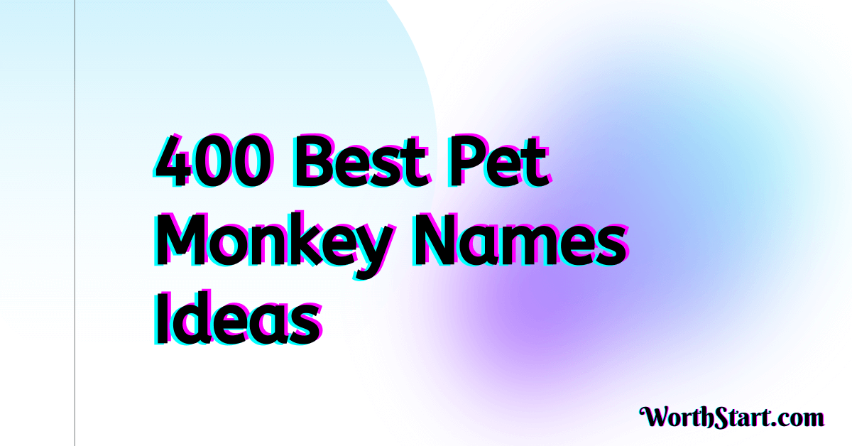 Pet Monkey Names