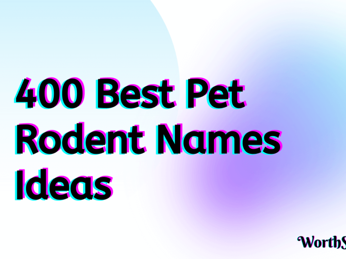 400 Best Pet Rodent Names That You Will Like