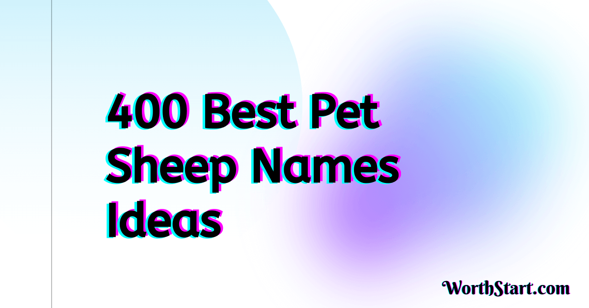 Pet Sheep Names