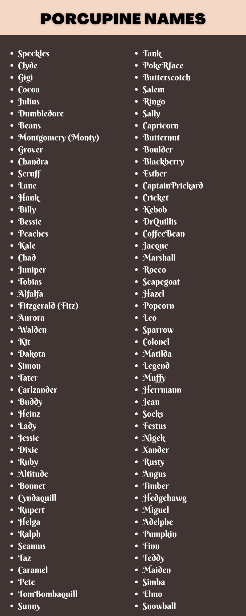 Porcupine Names