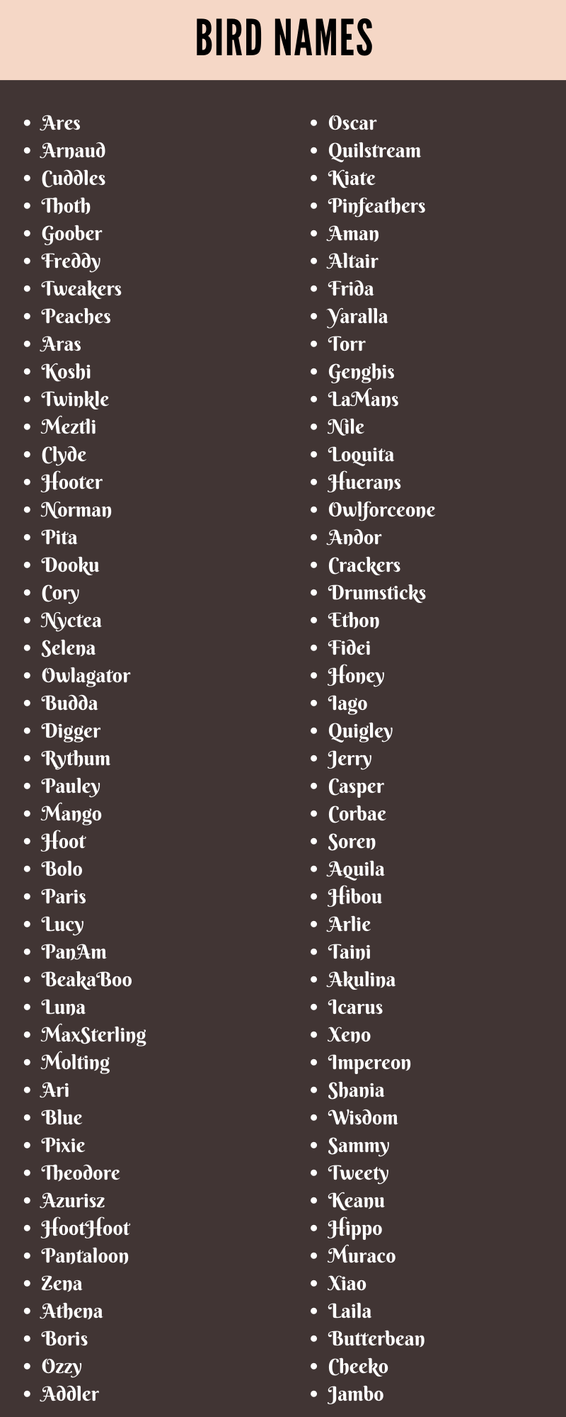 Bird Names