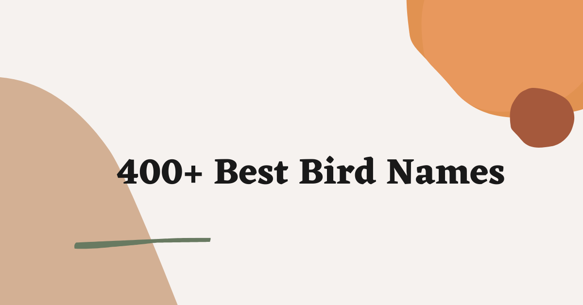 Bird Names Ideas
