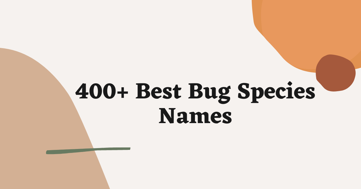 Bug Species Names Ideas