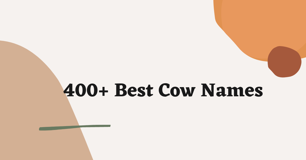 Cow Names Ideas