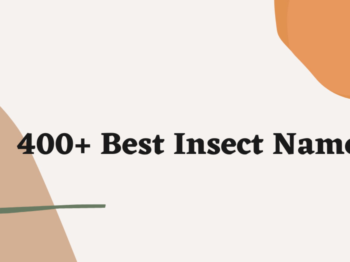 400 Cool Insect Names That You Will Like