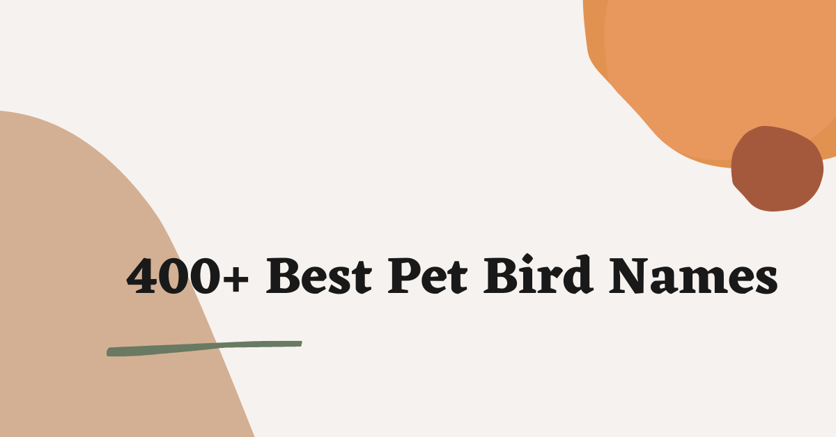 Pet Bird Names
