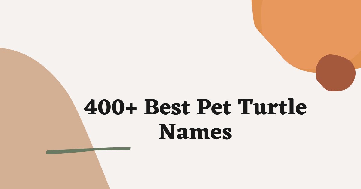Pet Turtle Names