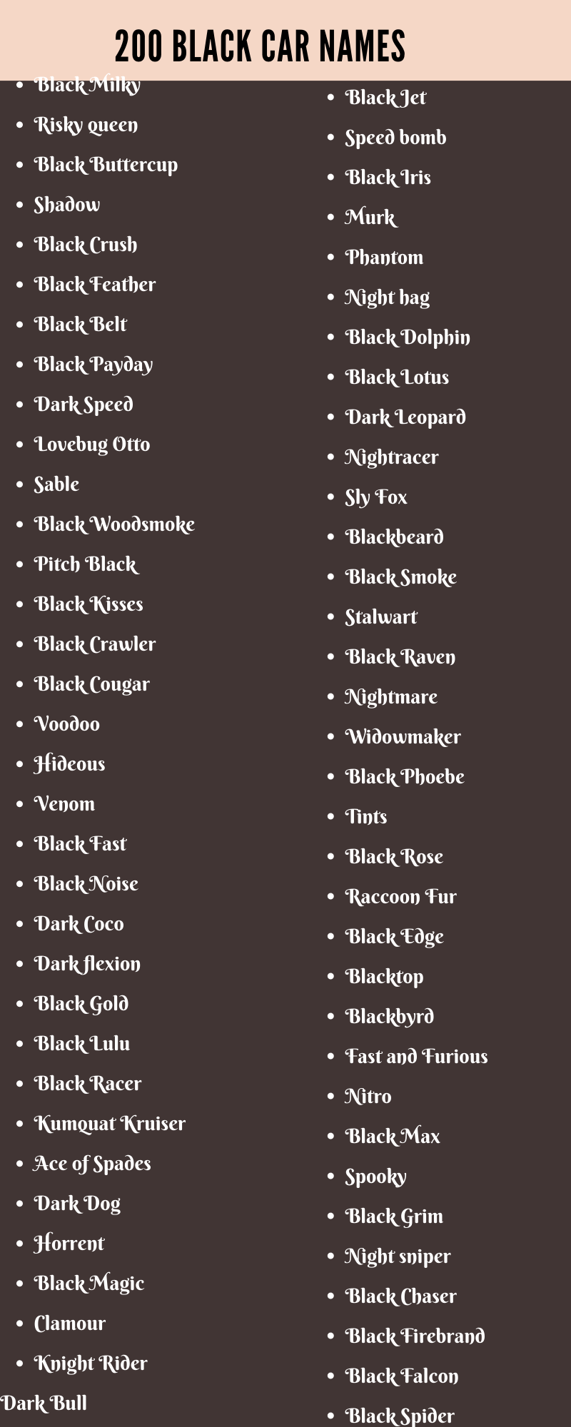 Black Car Names: 200 Adorable and Funny Names