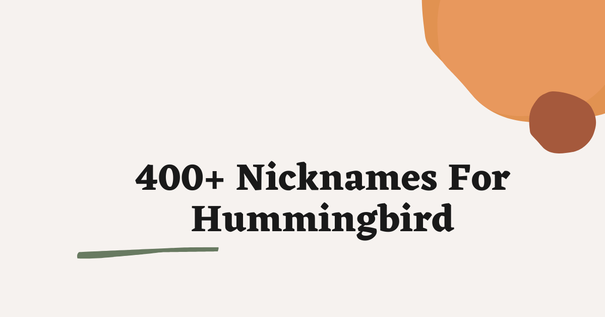 Nicknames For Hummingbird
