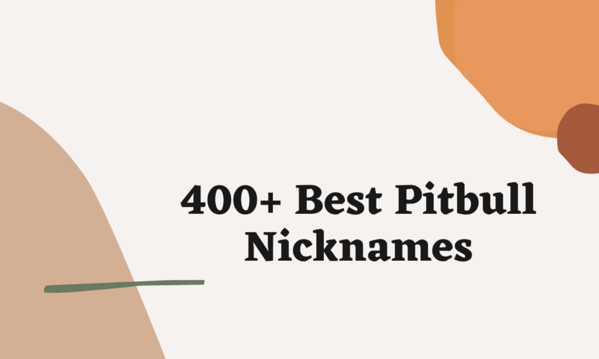 Pitbull Nicknames: 200 Adorable and Cute Names