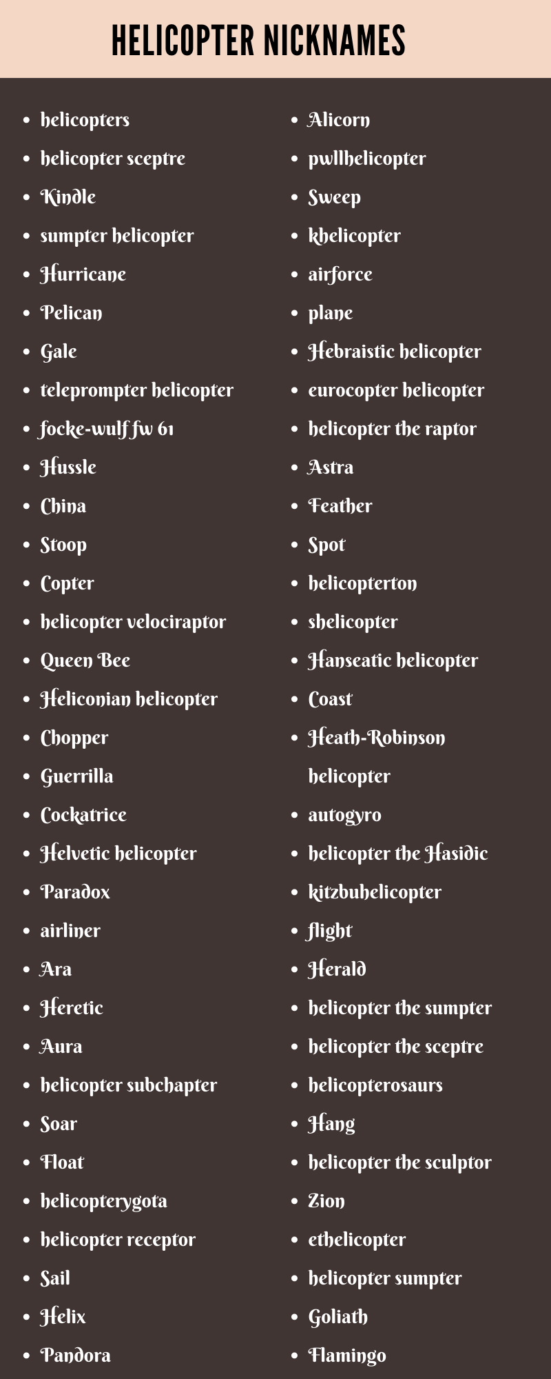 Helicopter Nicknames Ideas