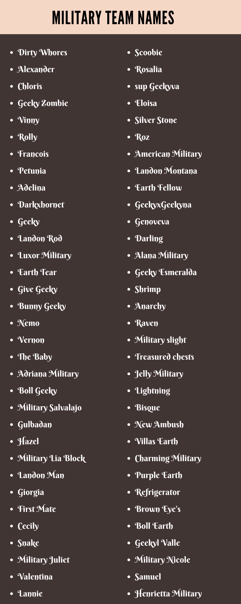 400 Cool Military Team Names Ideas And Suggestions