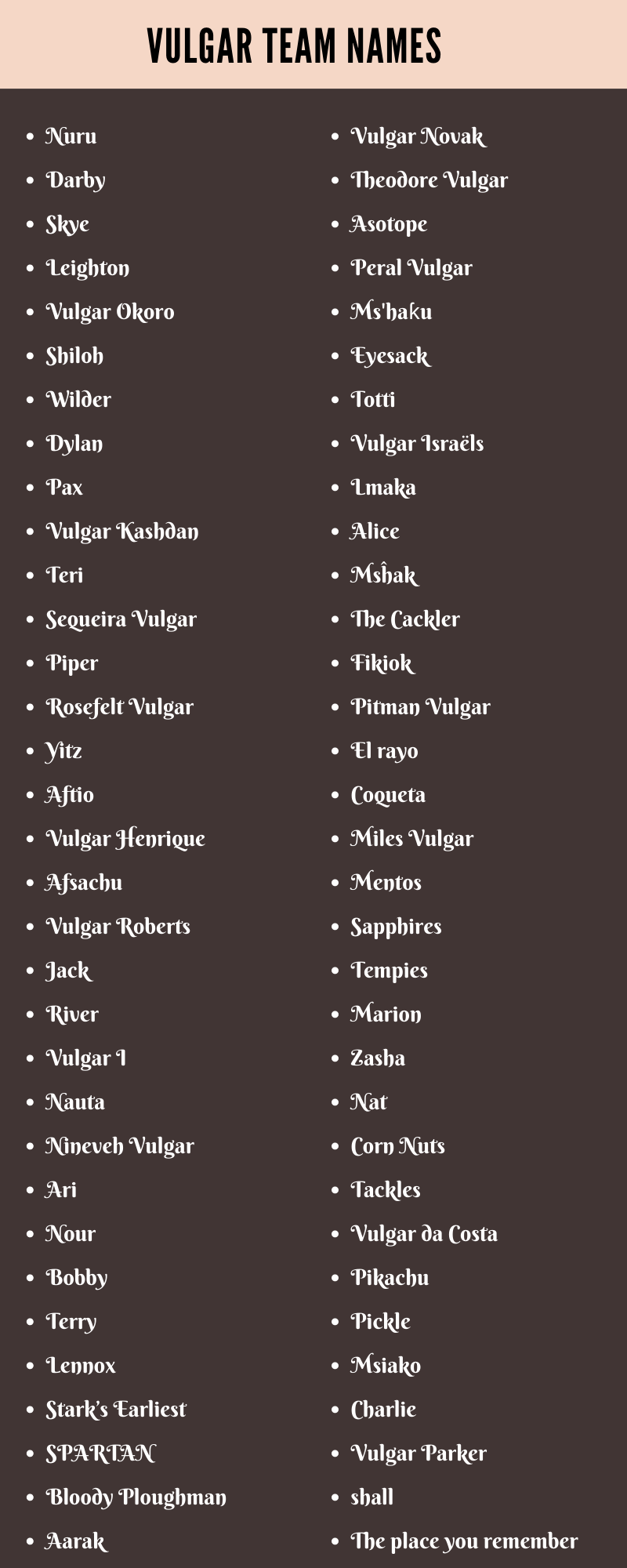 Vulgar Team Names