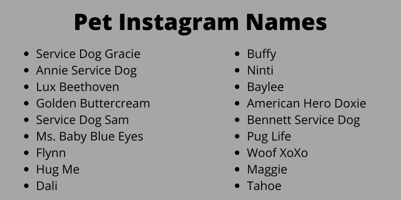 Pet Instagram Names