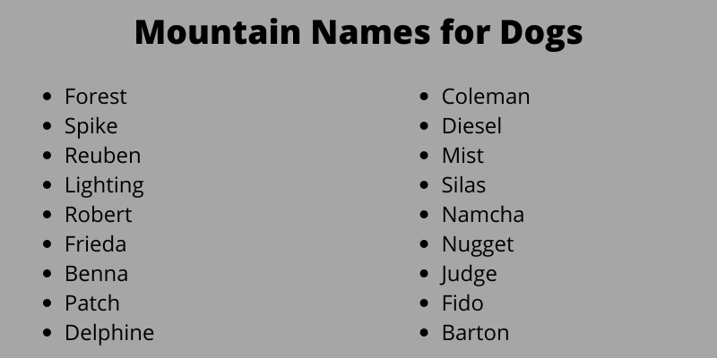 Mountain Names for Dogs