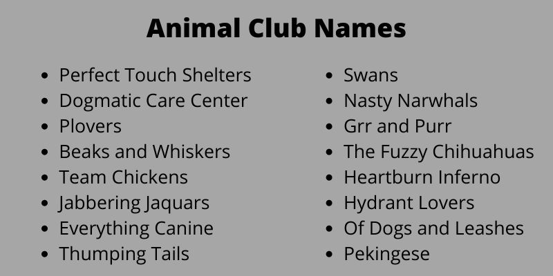 Animal Club Names