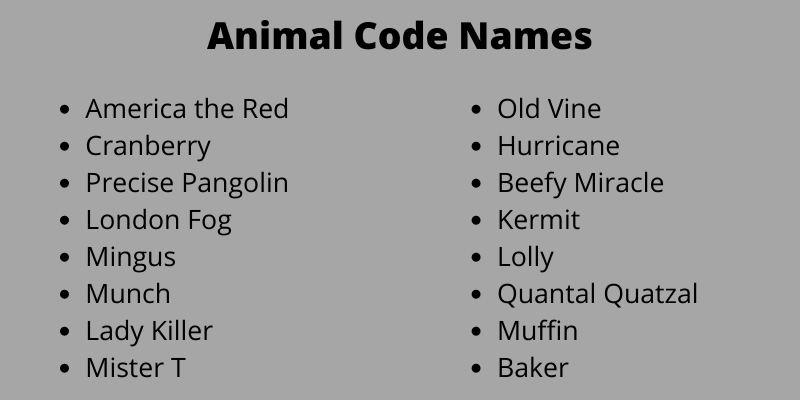 Animal Code Names