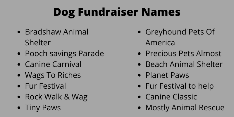 Dog Fundraiser Names