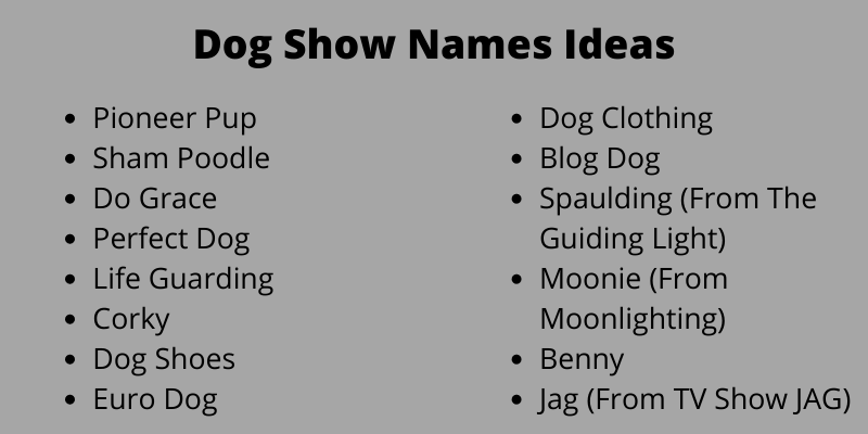 Dog Show Names Ideas
