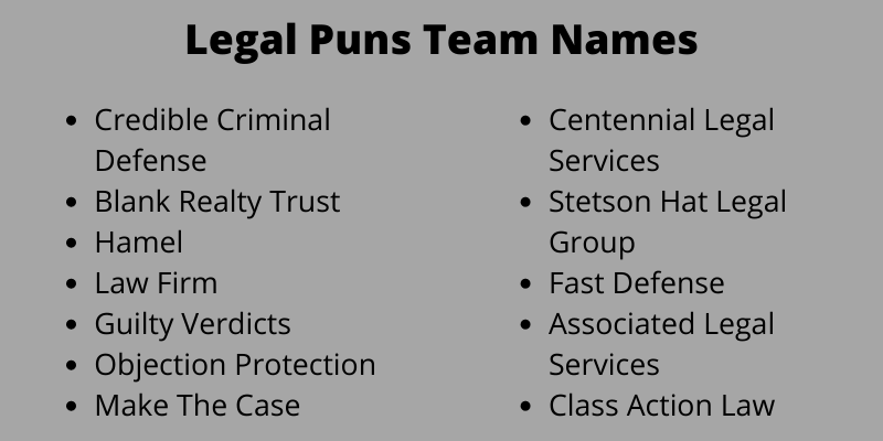 400 Cool Legal Puns Team Names Ideas That You Will Like
