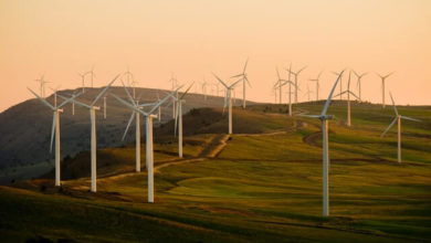 Renewable Energy Names Ideas